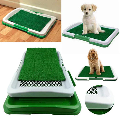 Pee Pad: Tapete sanitário para cães